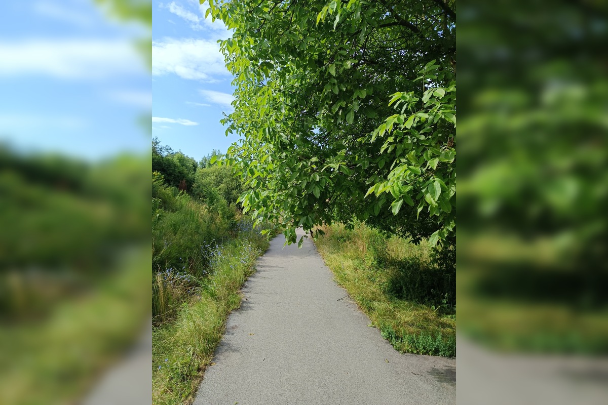 FOTO: Miestni kritizujú stav parku na Sekčove – odpadky a zarastené chodníky, foto 9