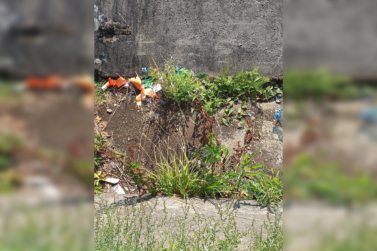 FOTO: Miestni kritizujú stav parku na Sekčove – odpadky a zarastené chodníky, foto 11