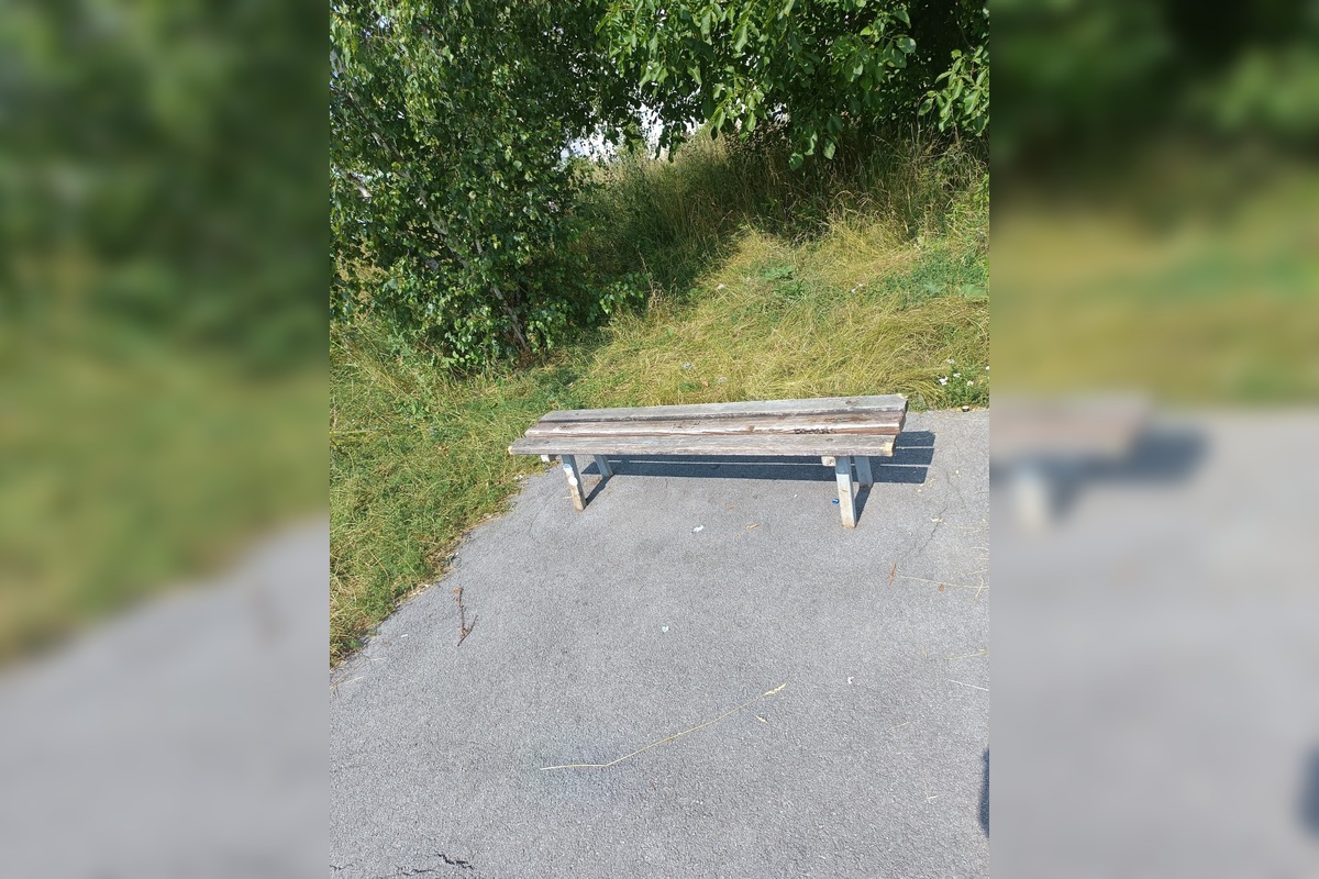 FOTO: Miestni kritizujú stav parku na Sekčove – odpadky a zarastené chodníky, foto 15