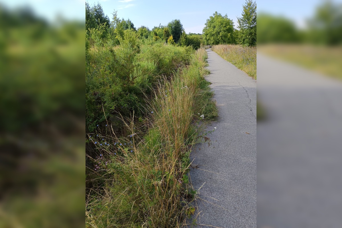 FOTO: Miestni kritizujú stav parku na Sekčove – odpadky a zarastené chodníky, foto 16