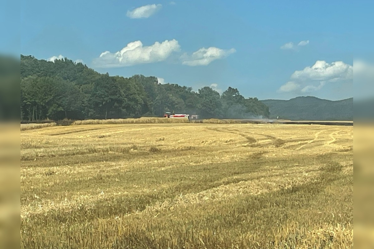 FOTO: V Prešovskom okrese vypukol požiar poľa, hasiči bojujú s plameňmi, foto 1