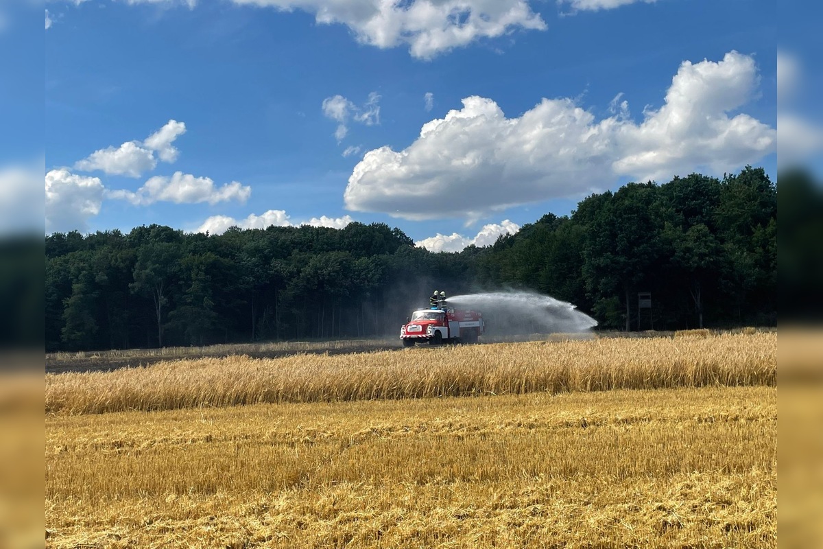 FOTO: V Prešovskom okrese vypukol požiar poľa, hasiči bojujú s plameňmi, foto 6