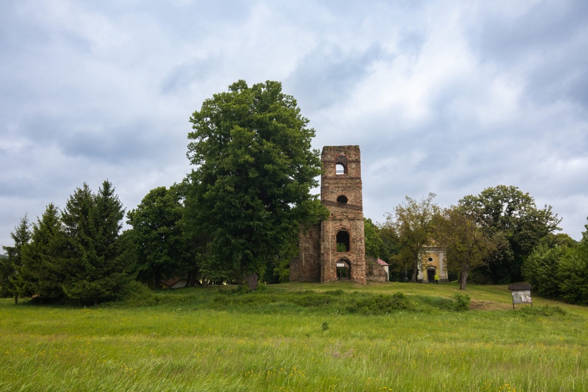 FOTO: Lipa z Krásneho Brodu v ankete Strom roka, foto 2
