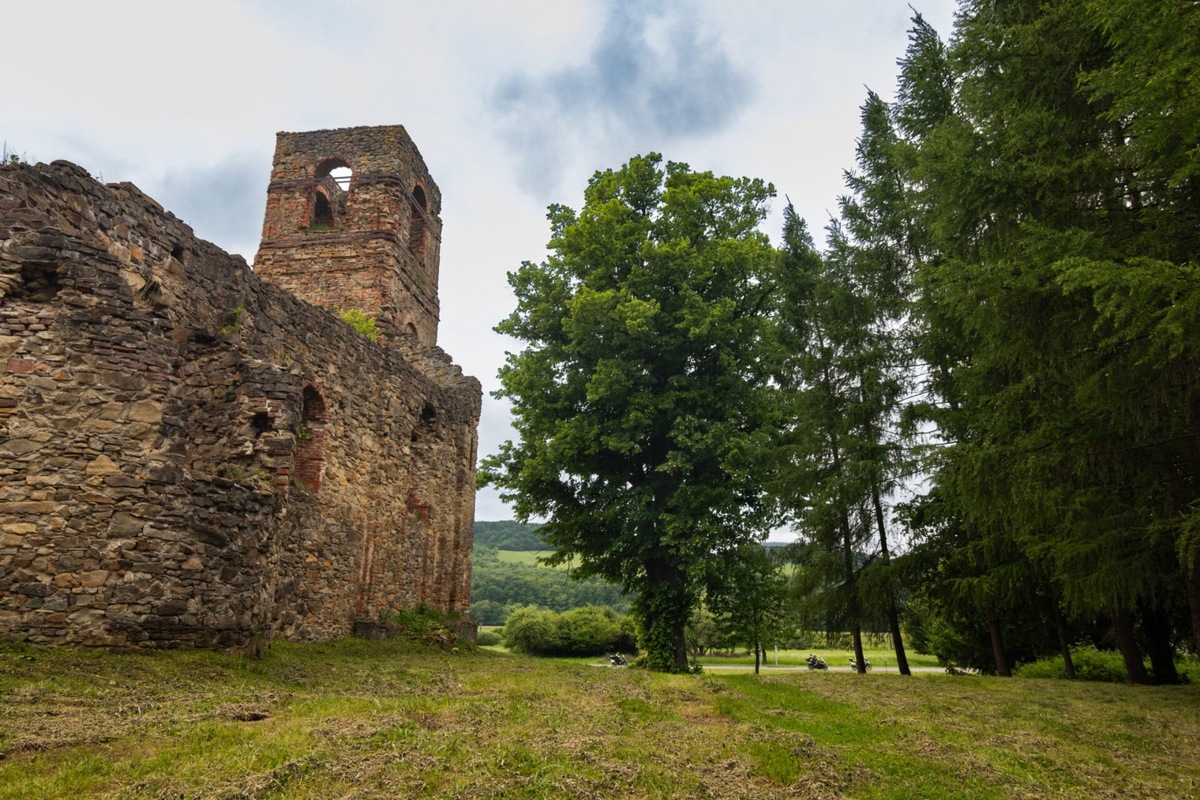 FOTO: Lipa z Krásneho Brodu v ankete Strom roka, foto 3