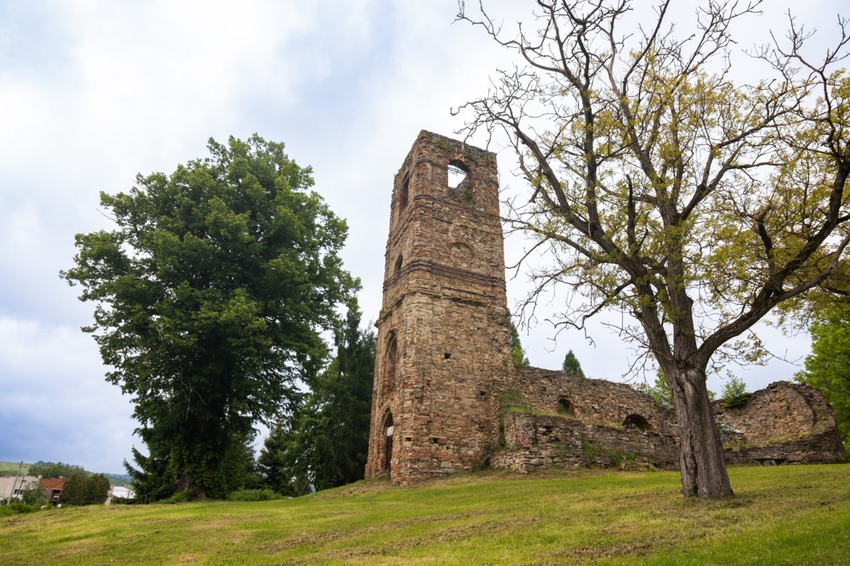 FOTO: Lipa z Krásneho Brodu v ankete Strom roka, foto 4