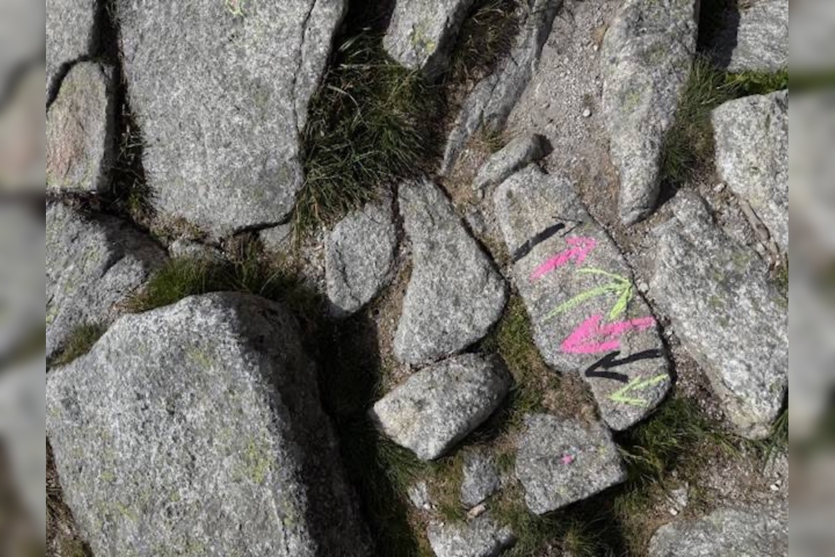 FOTO: Pracovníkov TANAP-u prekvapil počas kontroly v Tatrách nečakaný pohľad, foto 2
