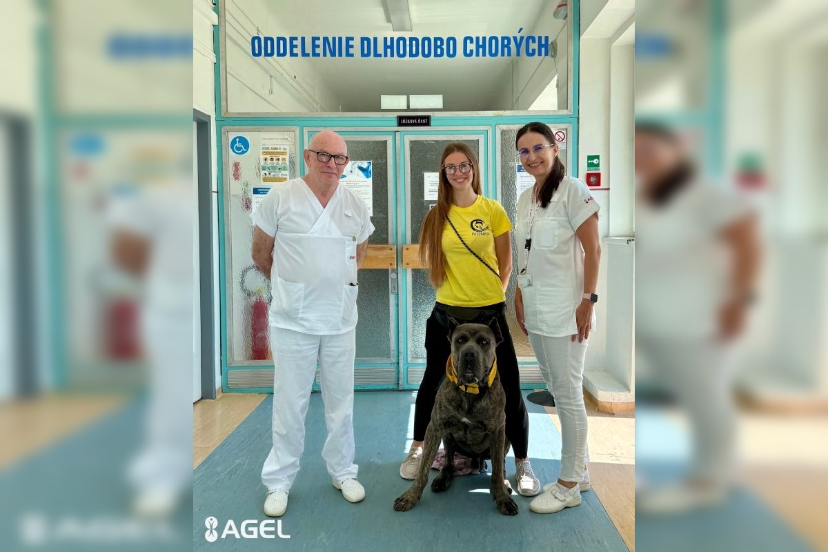 FOTO: Pacientom v kežmarskej nemocnici pomáha pri terapii pes Goro, foto 1