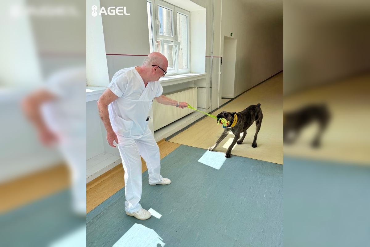 FOTO: Pacientom v kežmarskej nemocnici pomáha pri terapii pes Goro, foto 3