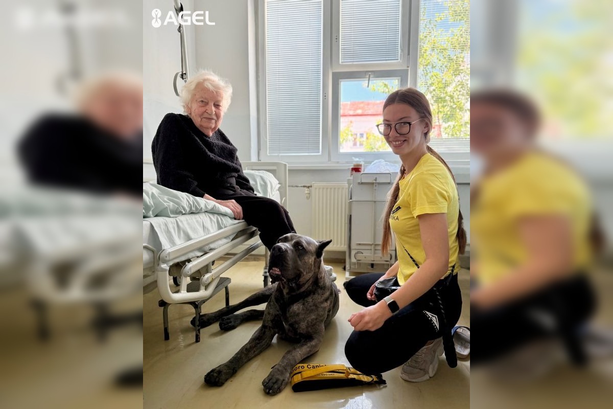 FOTO: Pacientom v kežmarskej nemocnici pomáha pri terapii pes Goro, foto 5