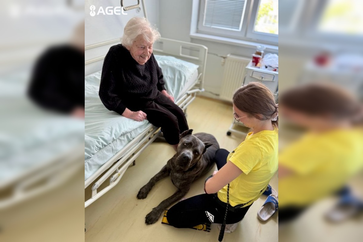 FOTO: Pacientom v kežmarskej nemocnici pomáha pri terapii pes Goro, foto 6
