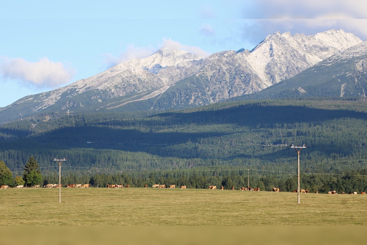 FOTO: Augustový víkend v Tatrách poriadne prekvapil, turisti videli sneh, foto 2