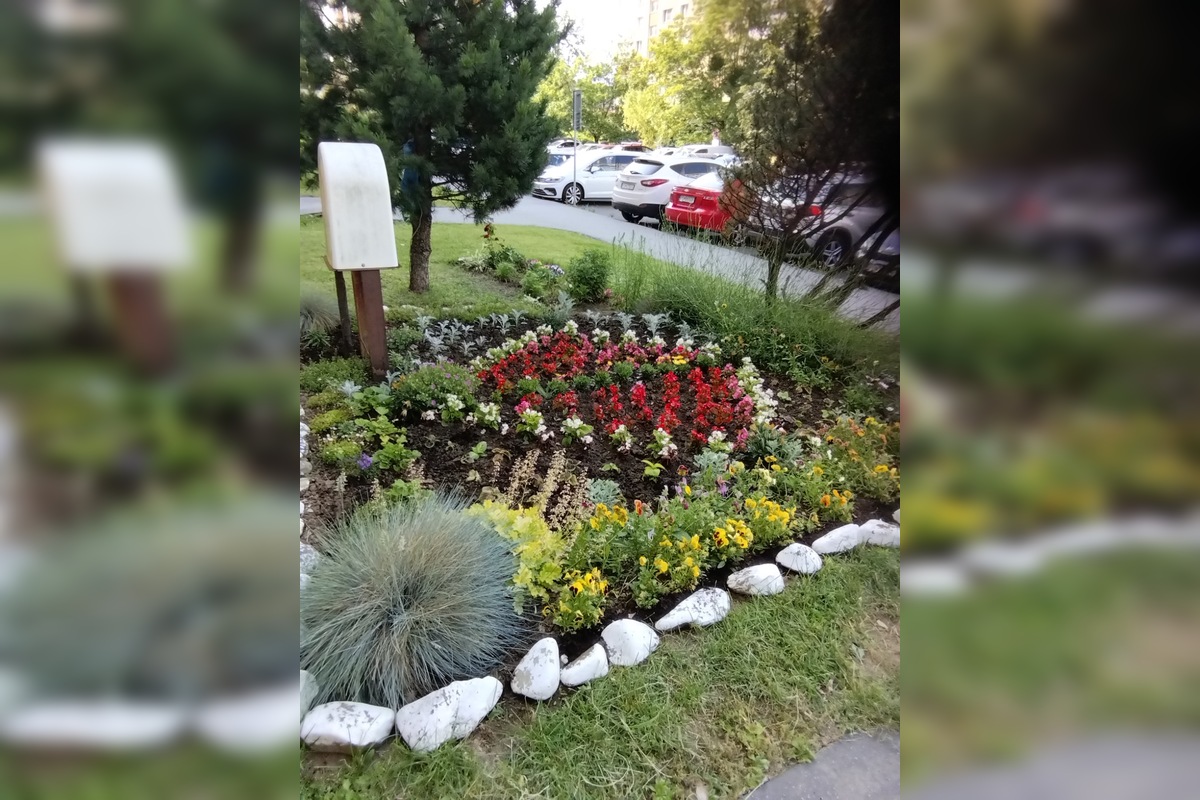 FOTO: Mária sa o predzáhradku na Sekčove stará viac ako 10 rokov, foto 1