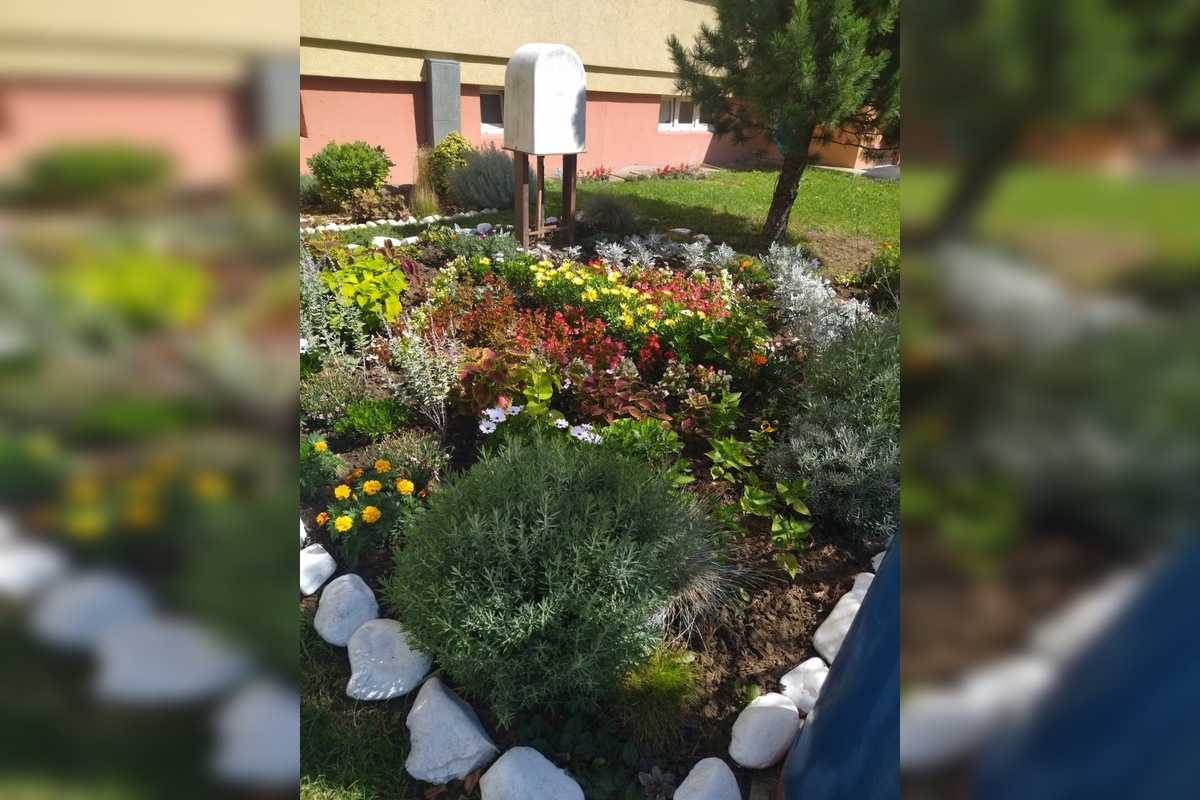 FOTO: Mária sa o predzáhradku na Sekčove stará viac ako 10 rokov, foto 2