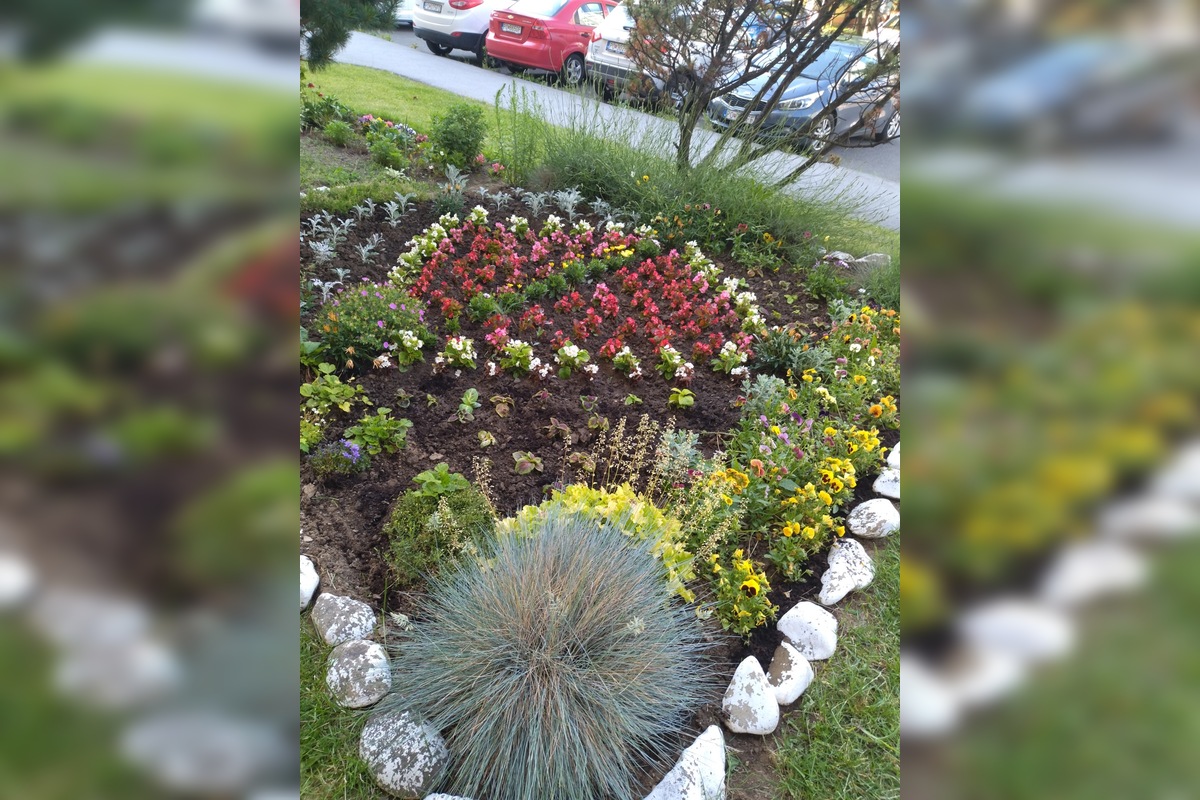 FOTO: Mária sa o predzáhradku na Sekčove stará viac ako 10 rokov, foto 3