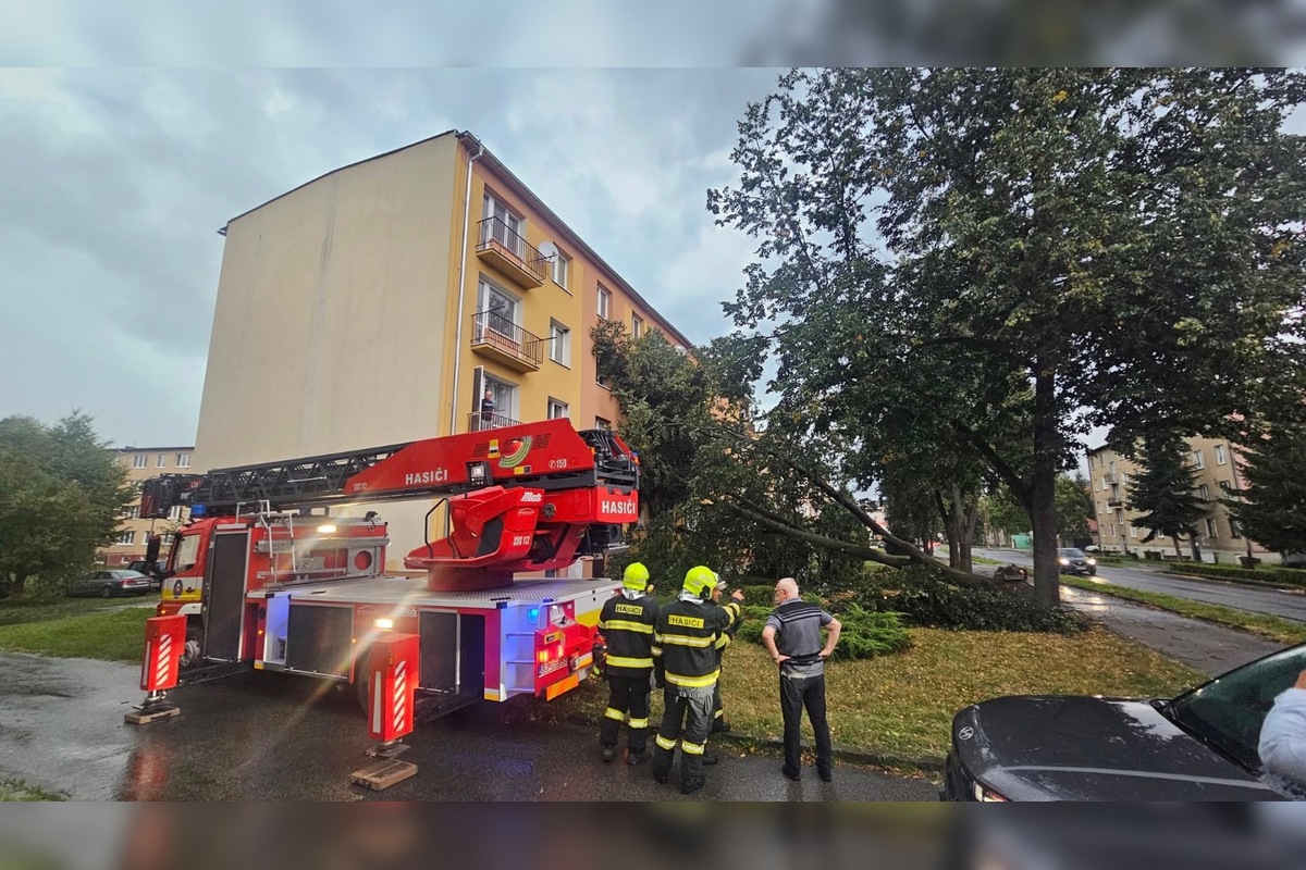 FOTO: V Bardejove vietor vyvrátil strom. Poškodil bytovku a chodník, foto 4