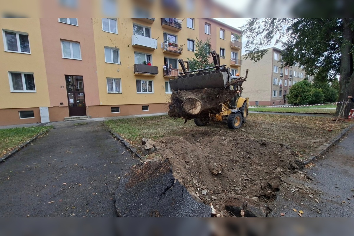 FOTO: V Bardejove vietor vyvrátil strom. Poškodil bytovku a chodník, foto 6