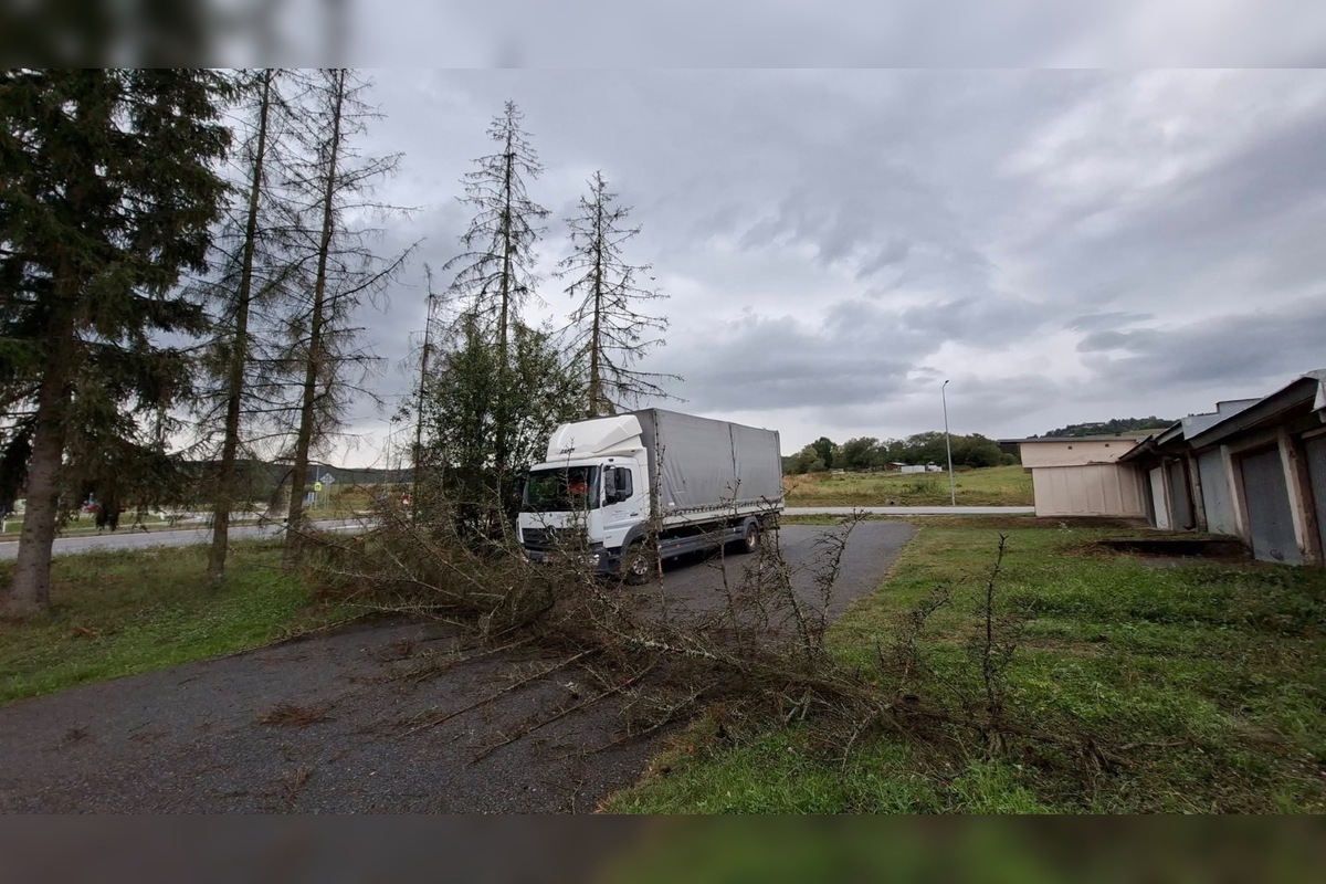 FOTO: V Bardejove vietor vyvrátil strom. Poškodil bytovku a chodník, foto 8