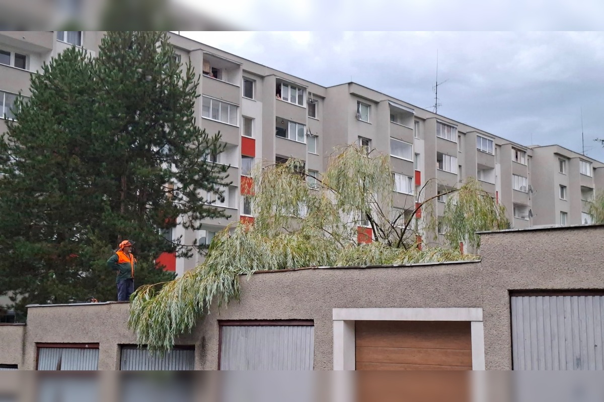 FOTO: V Bardejove vietor vyvrátil strom. Poškodil bytovku a chodník, foto 9