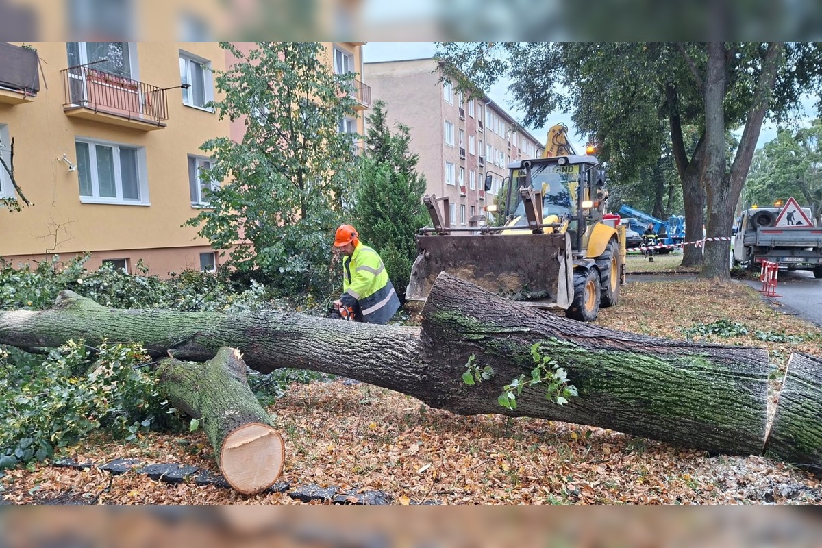 FOTO: V Bardejove vietor vyvrátil strom. Poškodil bytovku a chodník, foto 10