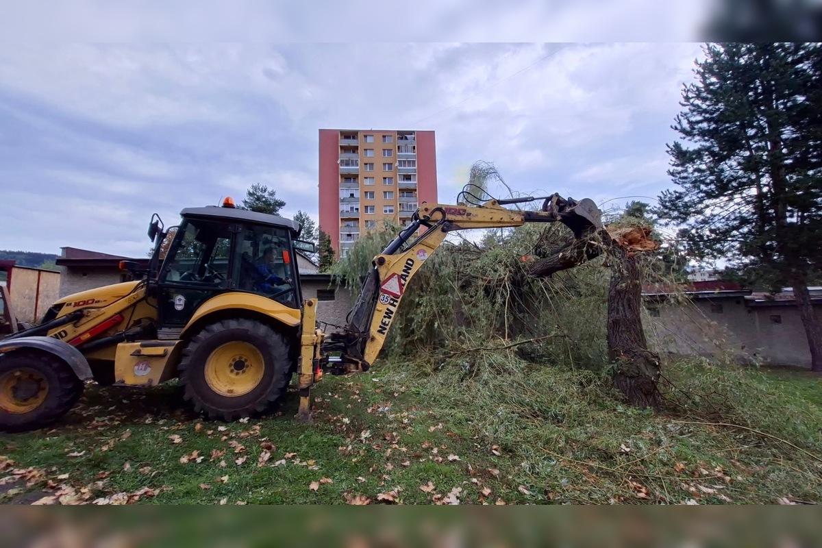 FOTO: V Bardejove vietor vyvrátil strom. Poškodil bytovku a chodník, foto 11