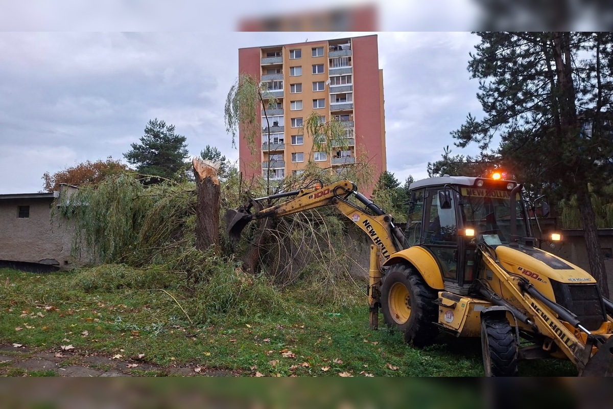 FOTO: V Bardejove vietor vyvrátil strom. Poškodil bytovku a chodník, foto 12