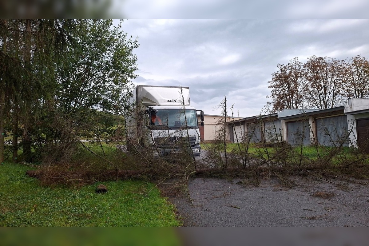 FOTO: V Bardejove vietor vyvrátil strom. Poškodil bytovku a chodník, foto 13