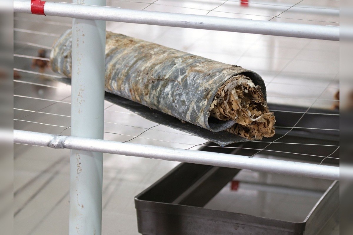 FOTO: Na gymnáziu v Levoči otvorili časovú schránku. Našli v nej takýto odkaz, foto 2