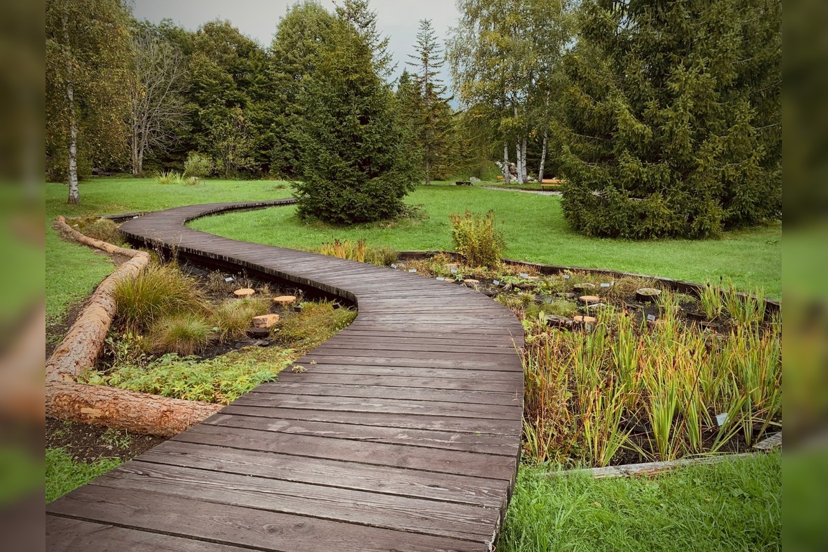 FOTO: Botanická záhrada uzavrela sezónu, návštevníci si odniesli aj rastliny, foto 6