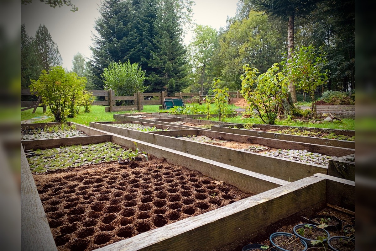 FOTO: Botanická záhrada uzavrela sezónu, návštevníci si odniesli aj rastliny, foto 7