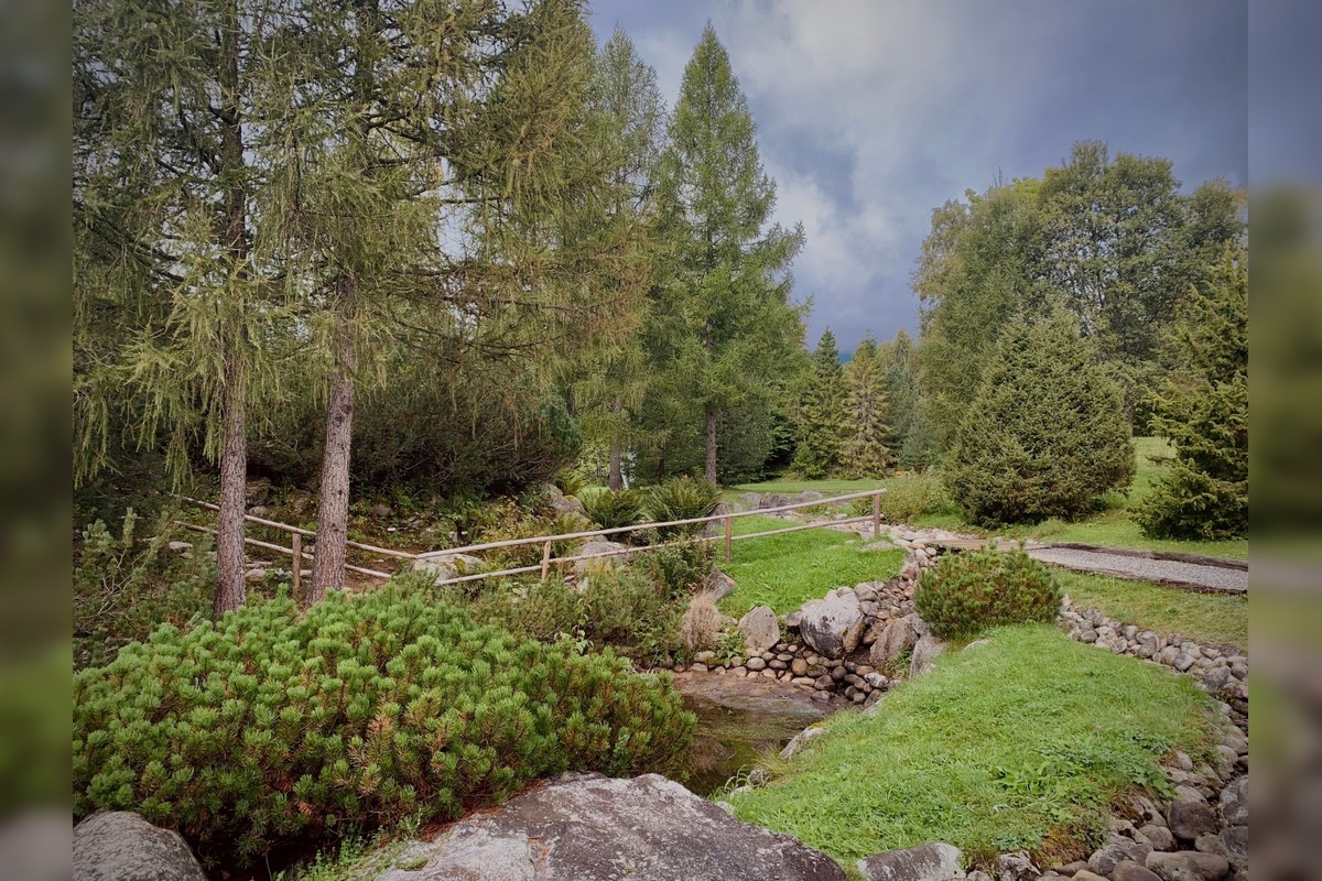 FOTO: Botanická záhrada uzavrela sezónu, návštevníci si odniesli aj rastliny, foto 8