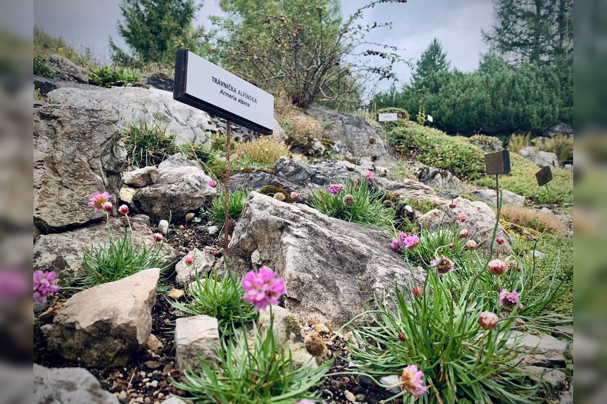 FOTO: Botanická záhrada uzavrela sezónu, návštevníci si odniesli aj rastliny, foto 11