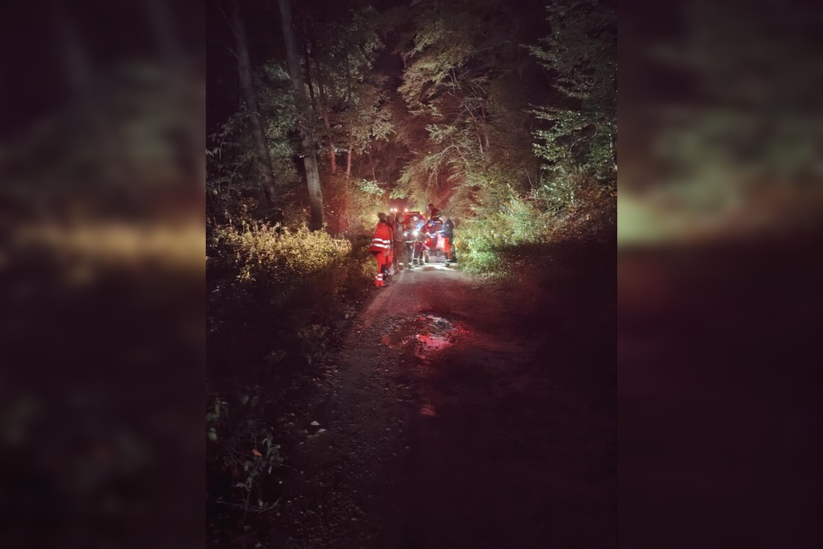 FOTO: Veľká pátracia akcia po stratenom hubárovi v Obišovciach, foto 8