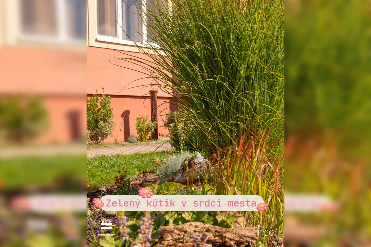 FOTO: Súťaž o najkrajšie predzáhradky Prešova má svojich víťazov, foto 8