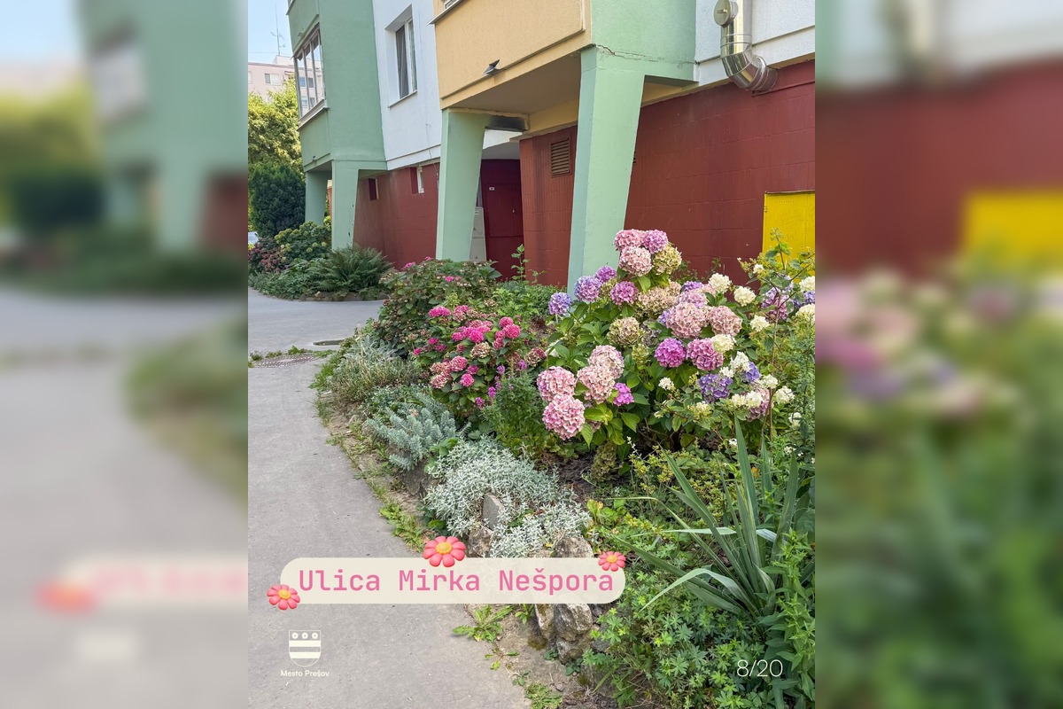FOTO: Súťaž o najkrajšie predzáhradky Prešova má svojich víťazov, foto 11