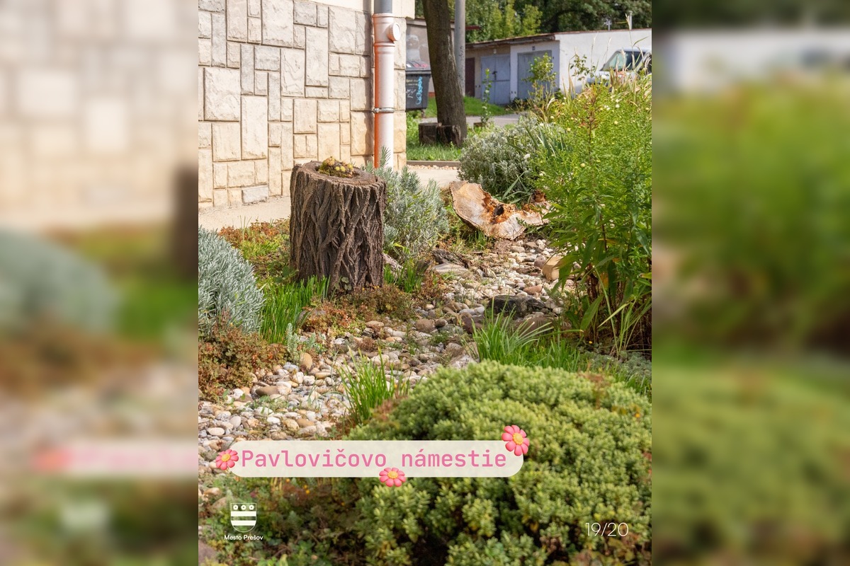 FOTO: Súťaž o najkrajšie predzáhradky Prešova má svojich víťazov, foto 12