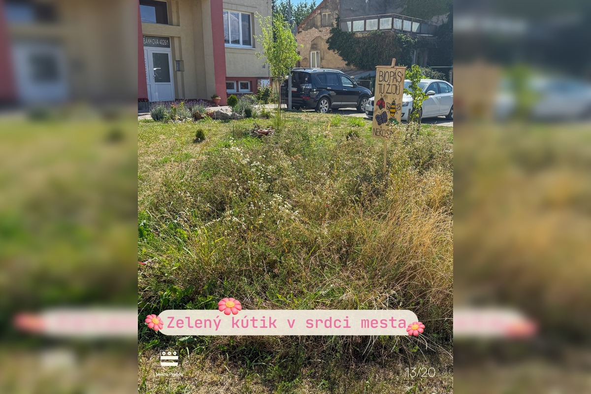FOTO: Súťaž o najkrajšie predzáhradky Prešova má svojich víťazov, foto 13