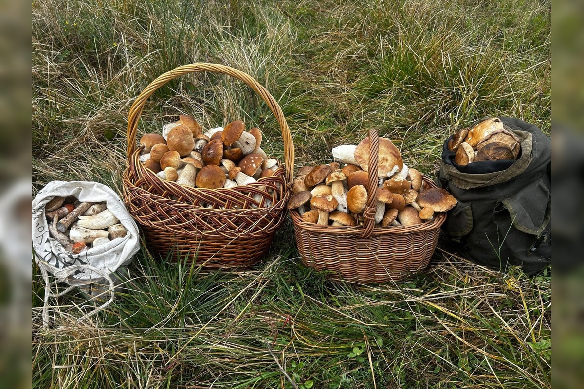 FOTO: Hubári sú v Prešovskom kraji nadšení, foto 1