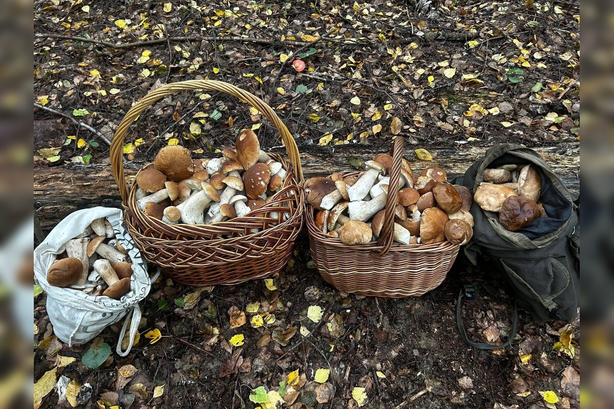 FOTO: Hubári sú v Prešovskom kraji nadšení, foto 2