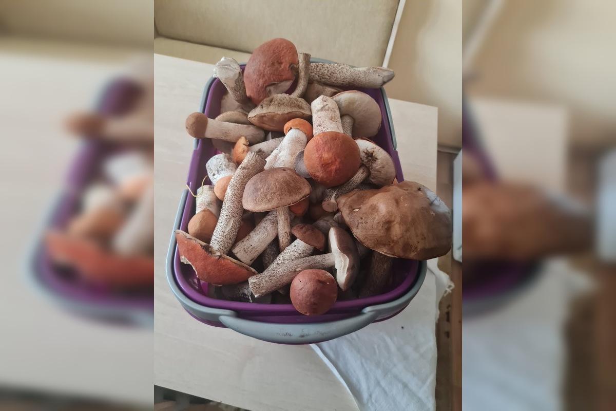 FOTO: Hubári sú v Prešovskom kraji nadšení, foto 3