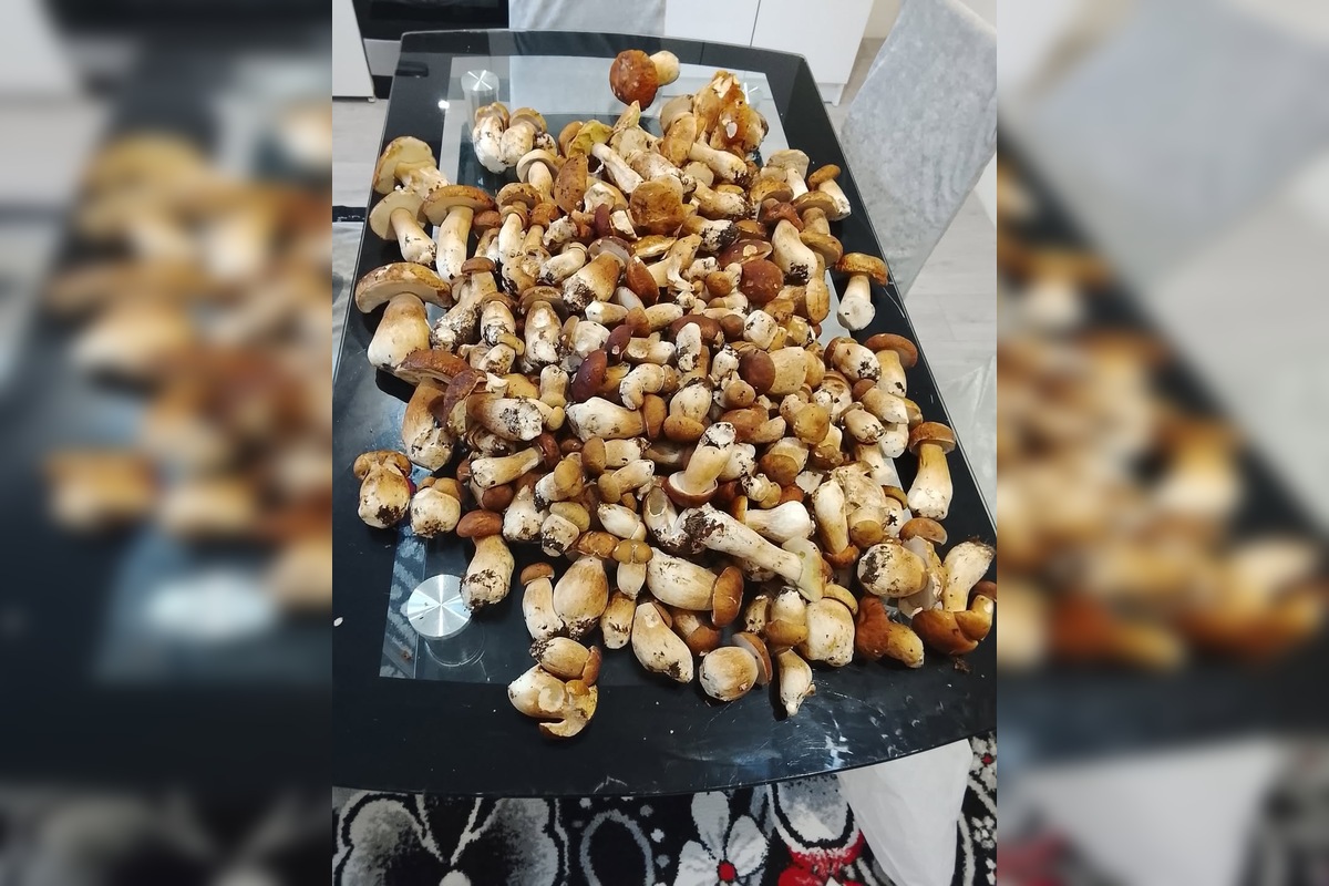 FOTO: Hubári sú v Prešovskom kraji nadšení, foto 4