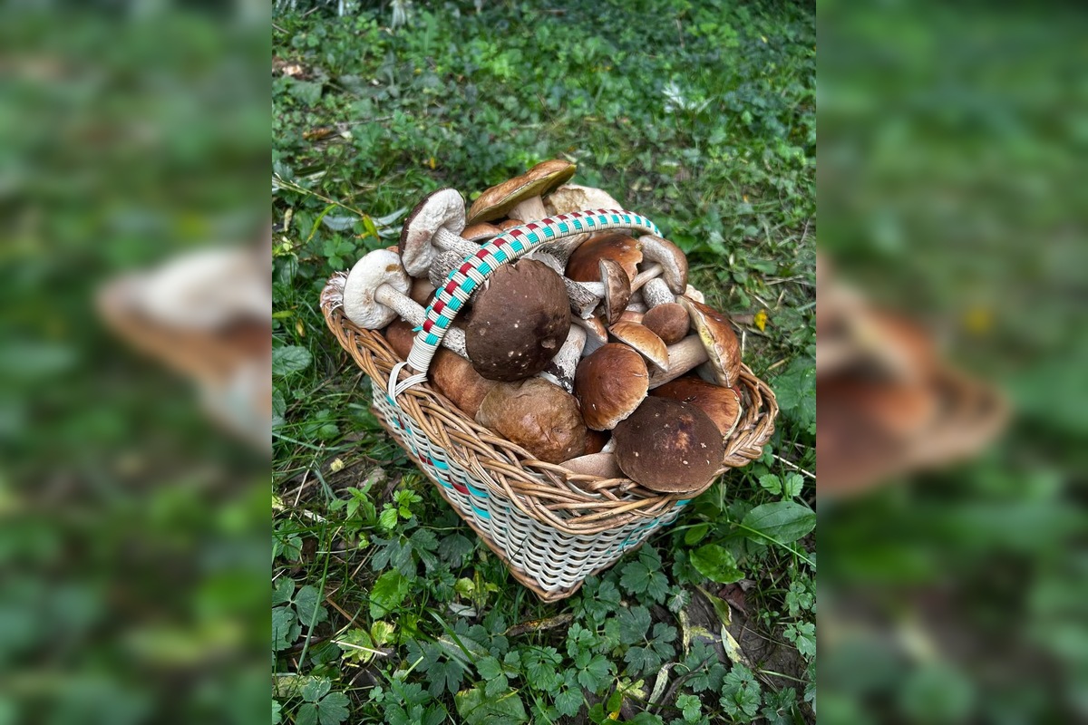 FOTO: Hubári sú v Prešovskom kraji nadšení, foto 5