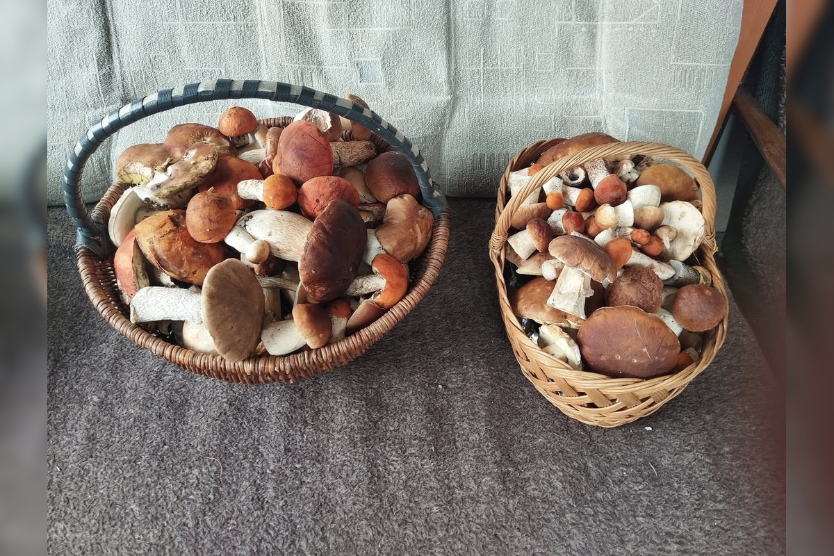 FOTO: Hubári sú v Prešovskom kraji nadšení, foto 6