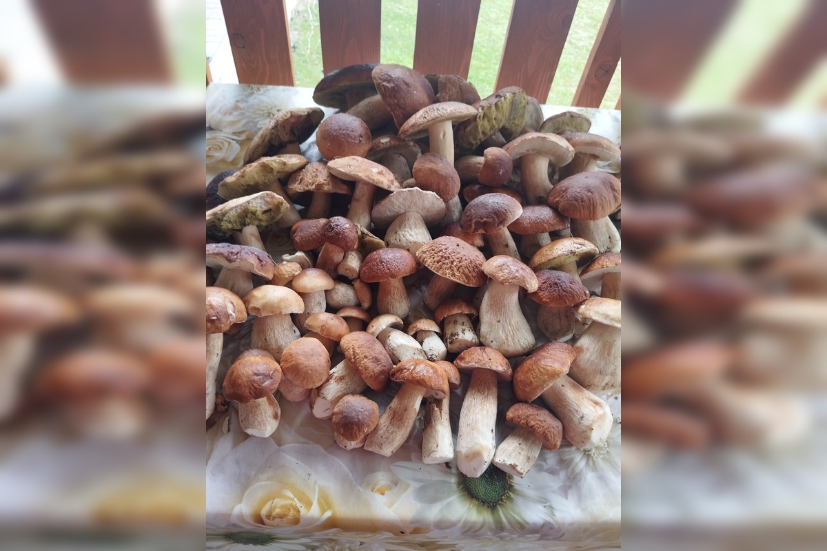 FOTO: Hubári sú v Prešovskom kraji nadšení, foto 8