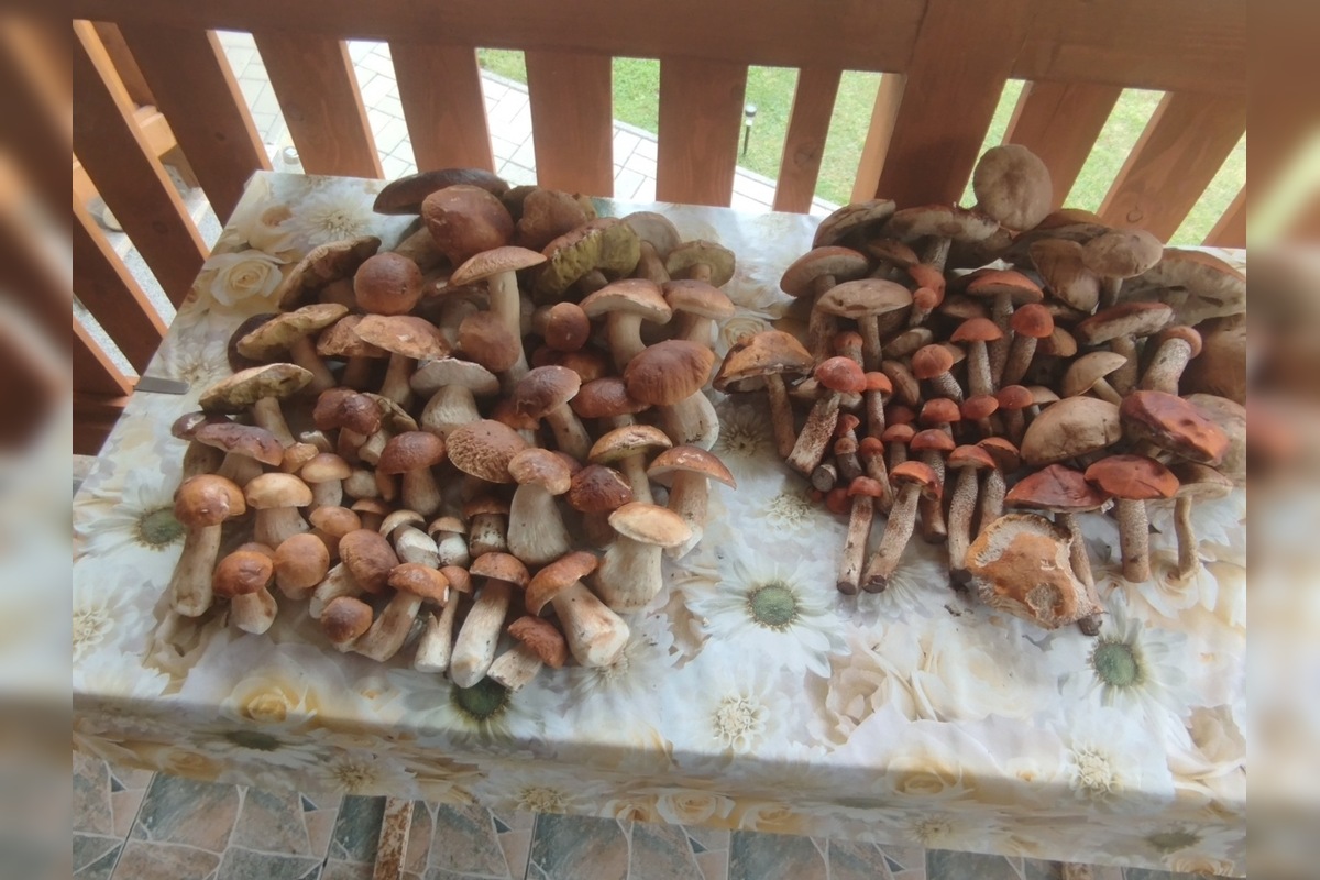 FOTO: Hubári sú v Prešovskom kraji nadšení, foto 9