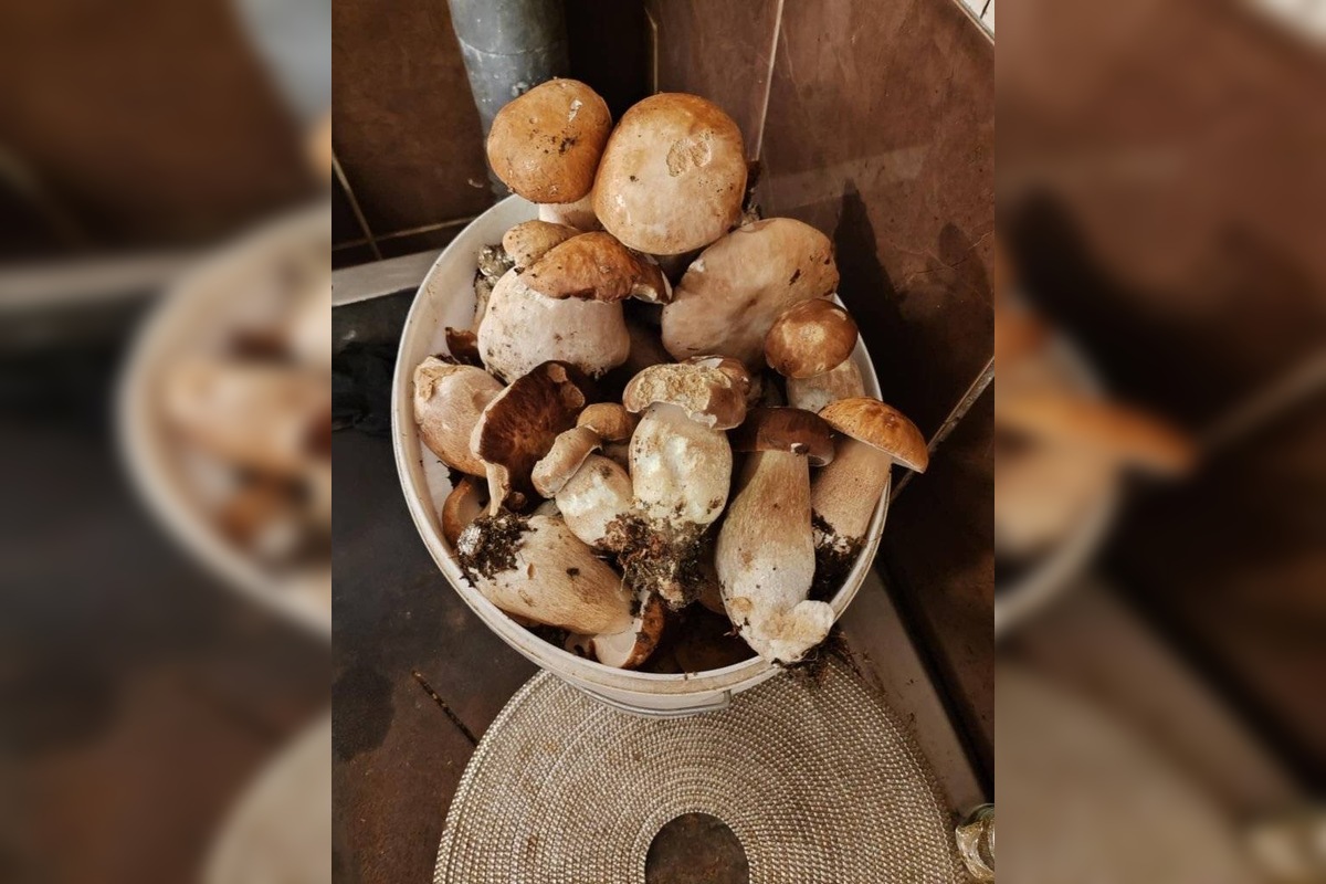 FOTO: Hubári sú v Prešovskom kraji nadšení, foto 10