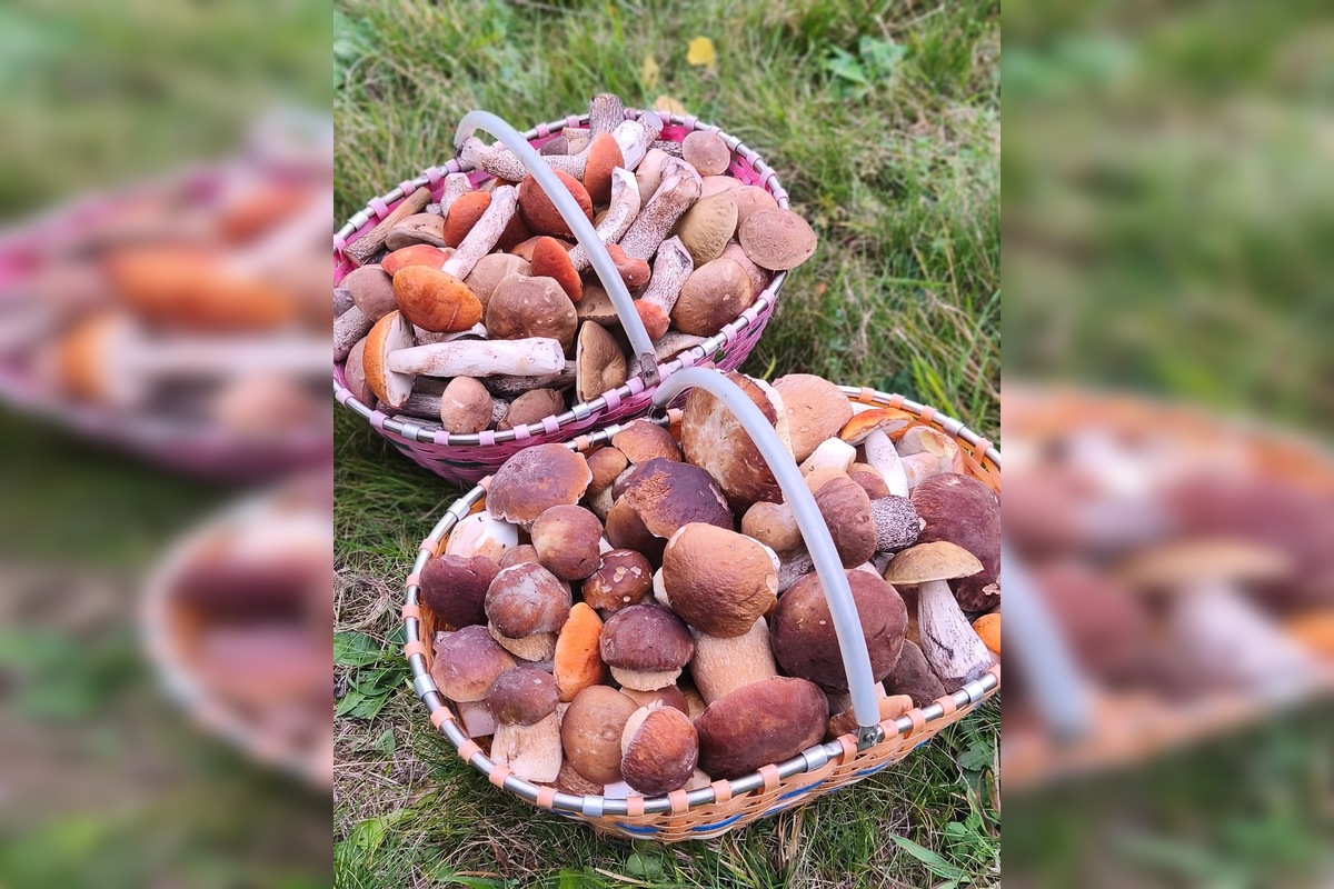 FOTO: Hubári sú v Prešovskom kraji nadšení, foto 11