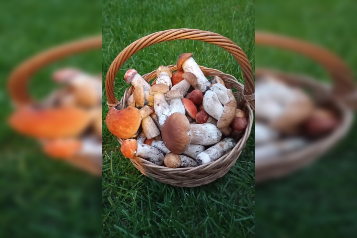 FOTO: Hubári sú v Prešovskom kraji nadšení, foto 12