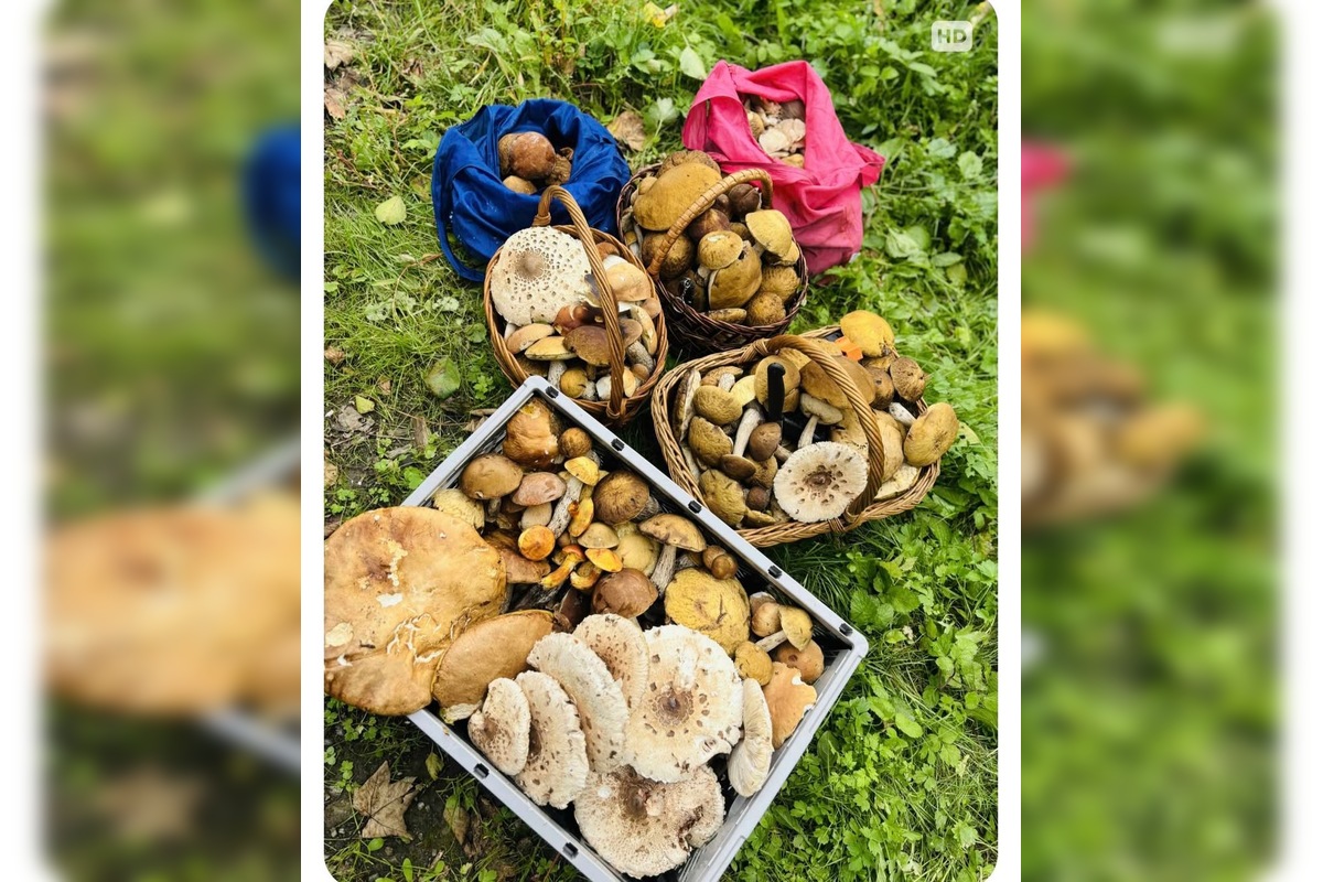 FOTO: Hubári sú v Prešovskom kraji nadšení, foto 13