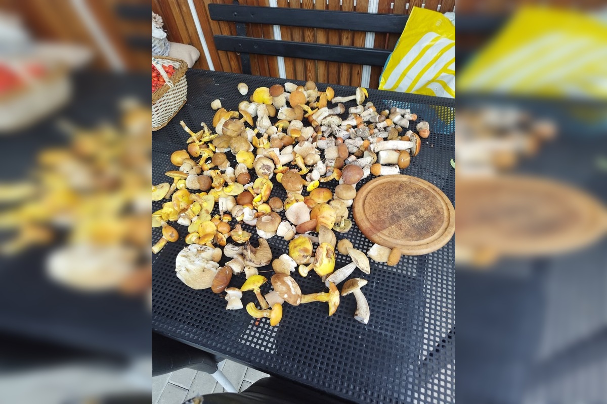 FOTO: Hubári sú v Prešovskom kraji nadšení, foto 14