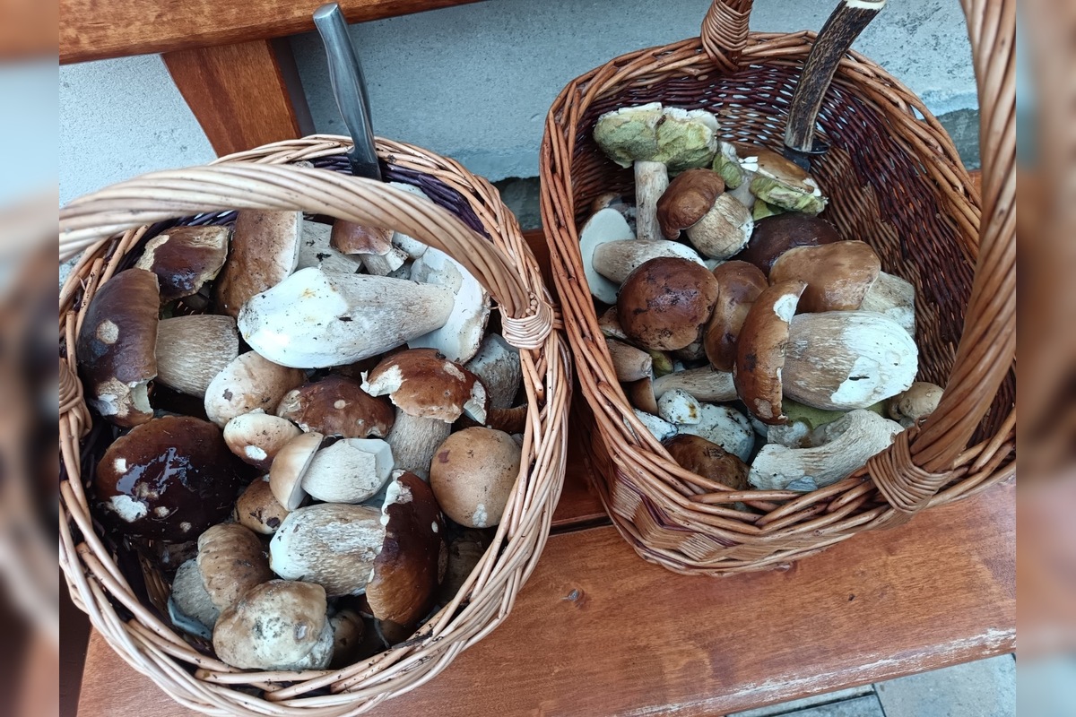 FOTO: Hubári sú v Prešovskom kraji nadšení, foto 15